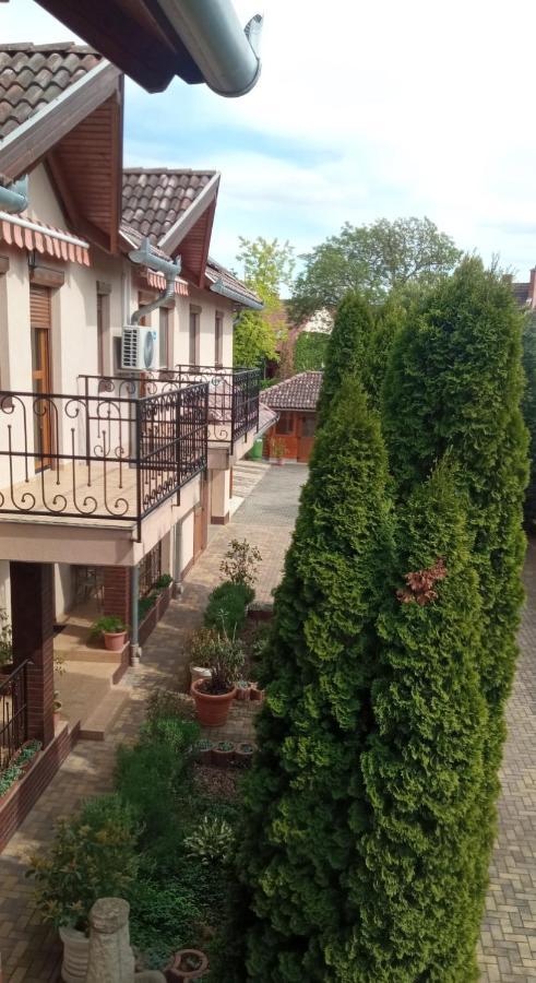 Mediterran Apartman Es Vendeghaz Hajdúszoboszló Dış mekan fotoğraf